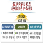 제재,기관,금감원,제도,갈음,대신,확약서