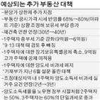 추가,부동산,상한제,국토부,규제,대책