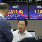 환율,트럼프,대통령