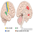 알파파,주의력,뇌파,피험자,실험,조절,훈련