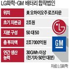 배터리,LG화학,합작법인,미국,전기차