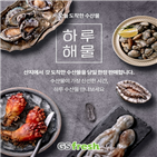 하루