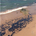 찌꺼기,기름,브라질,해변,대서양