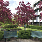 스웨덴,난민,고령자,프로젝트