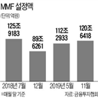 제재,우려,연계,운용사,국내