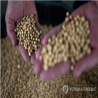 중국,구매,미국,농산물,합의,미국산,규모