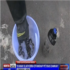 코브라,새끼,화장실,출몰