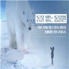 영상,기술,북극곰,동물
