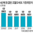 조혈모세포,기증,환자,등록,정원,수술,기증자,이식