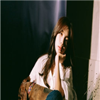 고소장,악플러,강경,음원