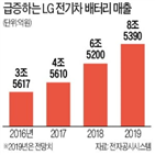 공장,배터리,분리막,LG전자,LG화학,폴란드