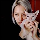 김희철,설리,고양이