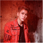 미스터트롯,트롯