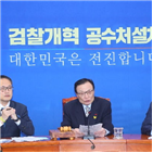 민주당,비례민주당,명칭