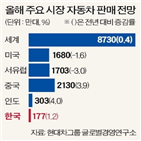 지난해,전망,증가,판매,시장