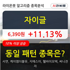 자이글,기사,주가