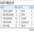 지난해,시장,수익률,레버리지,상품,상장,국내,미국