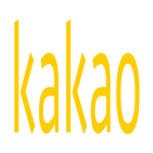 카카오,영업이익,실적