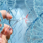 기술,유전자,연구,단장,특허,기소,과정