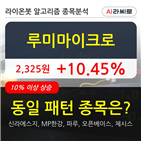 루미마이크로,시각,보이