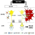 도파민,파킨슨병,신경세포,분비,치료