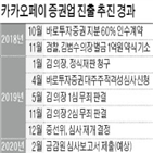 심사,적격성,대주주,금감원,금융위,판단,카카오