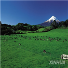 뉴질랜드,식품,수출