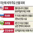 산불,피해,지구온난화,지난해,분석,미국,브라질