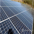 반덤핑,태양광,폴리실리콘