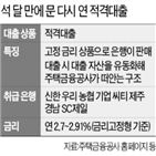 대출,상품,적격대출,주금공,재개,은행,지난해,재원