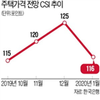 대책,주택가격전망,정부