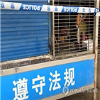 중국,포인트,보고서,현재,서비스업