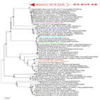 바이러스,코로나바이러스,신종,분리