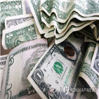 미국,달러화,글로벌,경제,신종