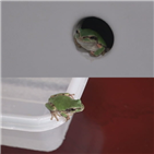 청개구리,세면대,화장실