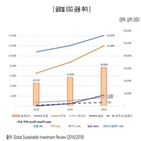 시장,채권,한국신용평가,채권시장,정부,관련,도입,투자