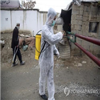 아프간,수감자,석방,코로나19