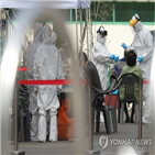 확진,전날,0시,수도권,코로나19