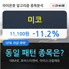 미코,시각