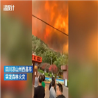 산불,불길,지역,현장,쓰촨성