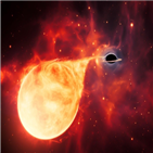 블랙홀,중간질량,질량,은하,확인,포착