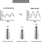 혈압,치매,변동성,그룹,위험,발생