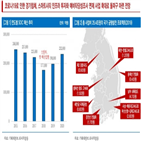 투자,중소형,정부,예상