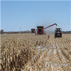 가격,가능성,글로벌