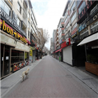 터키,확진,코로나19