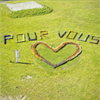 하트,누적,코로나19