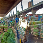 물가,상승률,브라질,기준금리