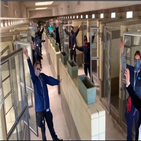 입양,반려동물,사례,동물