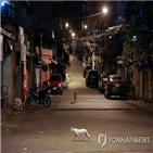 사망자,필리핀,코로나19