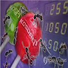 주식시장,개인,연구원,업종,하락